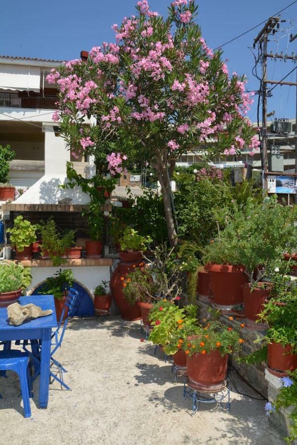 Traditional Summer House In Marmari Marmari  Εξωτερικό φωτογραφία