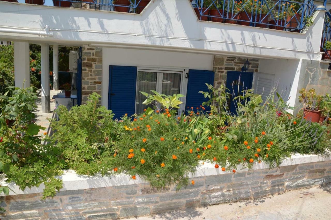 Traditional Summer House In Marmari Marmari  Εξωτερικό φωτογραφία
