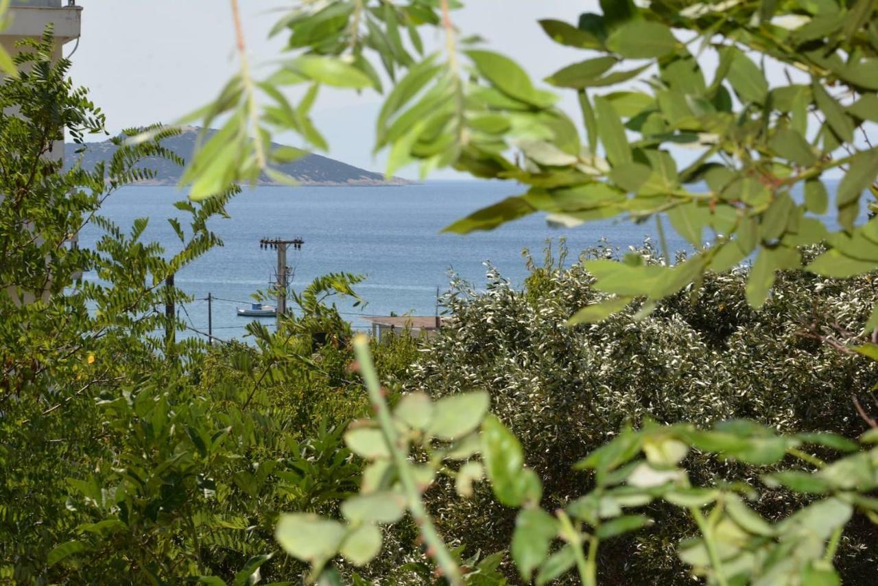 Traditional Summer House In Marmari Marmari  Εξωτερικό φωτογραφία